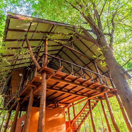 Kaala Kalaththewa Luxury Eco Resort อนุราธปุระ ภายนอก รูปภาพ