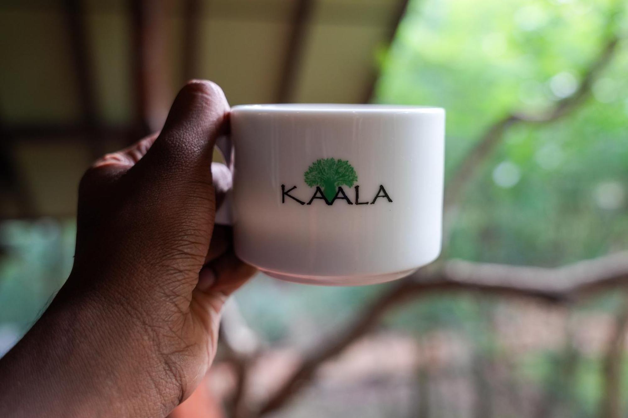 Kaala Kalaththewa Luxury Eco Resort อนุราธปุระ ภายนอก รูปภาพ