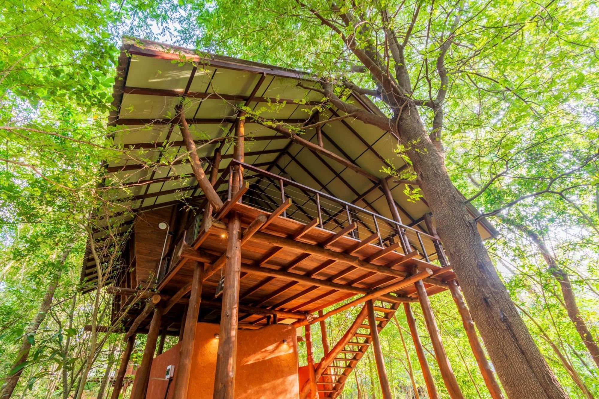 Kaala Kalaththewa Luxury Eco Resort อนุราธปุระ ภายนอก รูปภาพ
