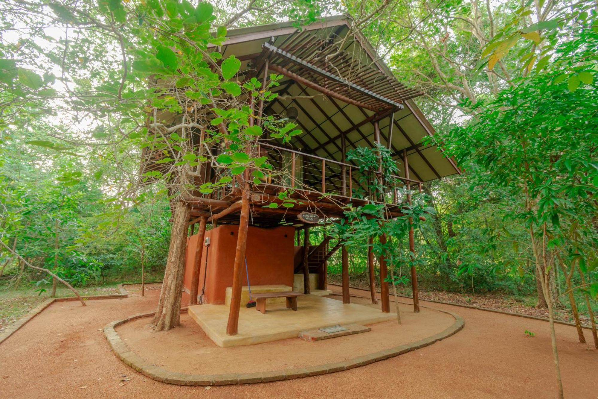 Kaala Kalaththewa Luxury Eco Resort อนุราธปุระ ภายนอก รูปภาพ