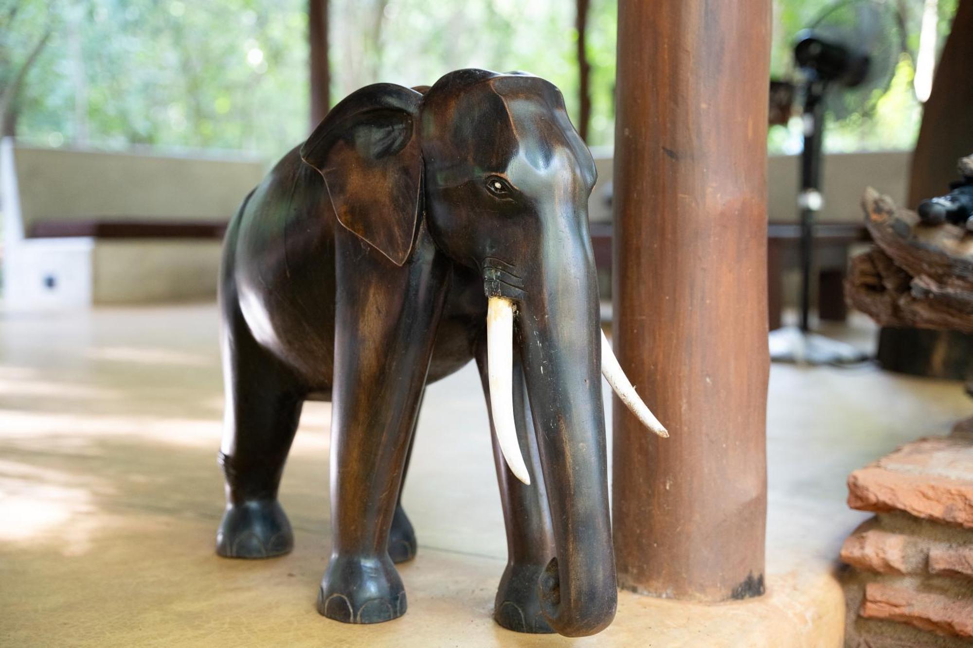 Kaala Kalaththewa Luxury Eco Resort อนุราธปุระ ภายนอก รูปภาพ
