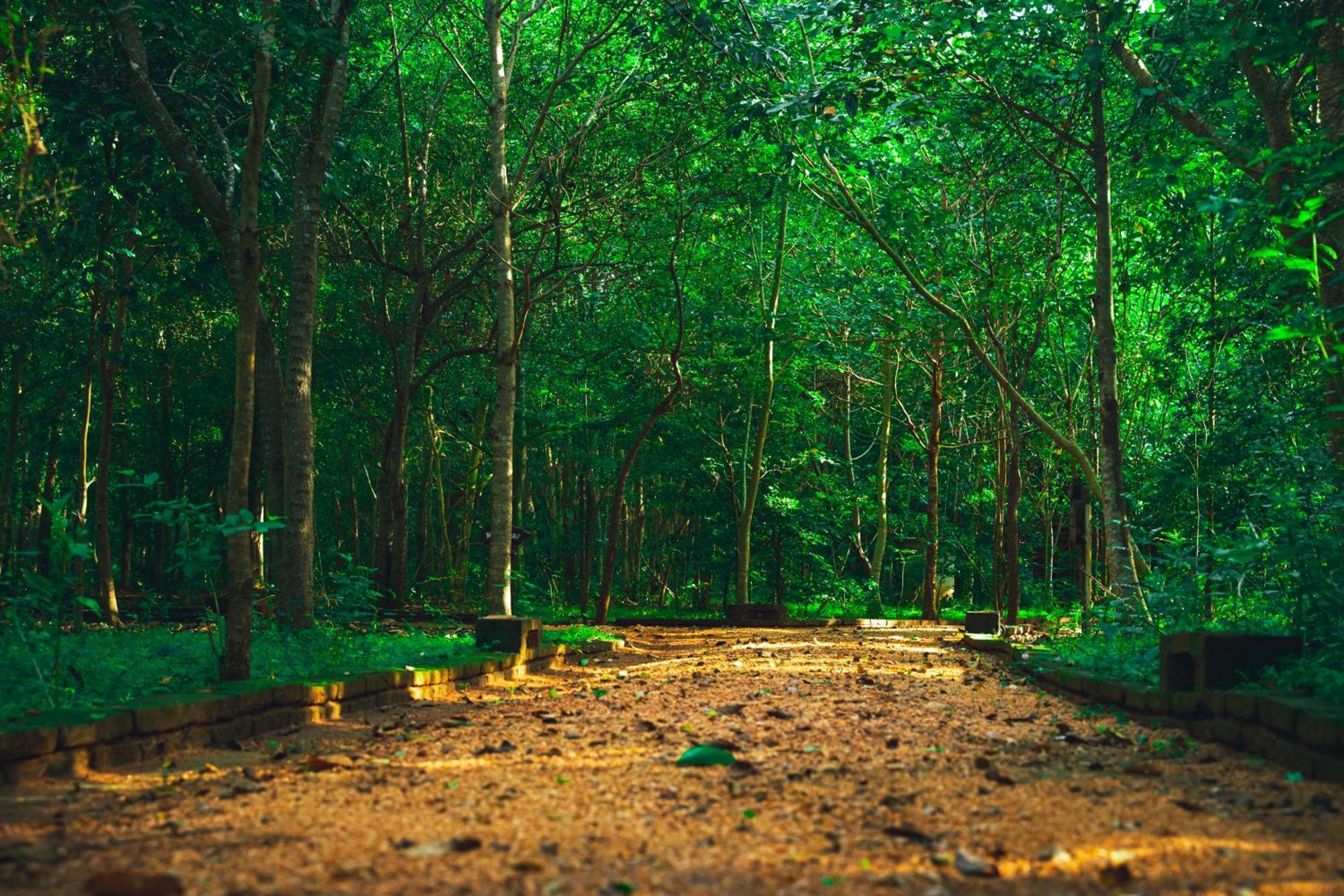 Kaala Kalaththewa Luxury Eco Resort อนุราธปุระ ภายนอก รูปภาพ